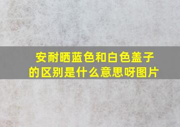 安耐晒蓝色和白色盖子的区别是什么意思呀图片