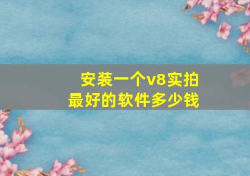 安装一个v8实拍最好的软件多少钱