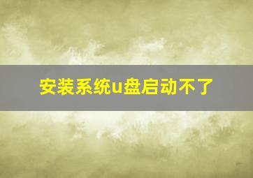 安装系统u盘启动不了