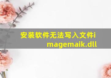 安装软件无法写入文件imagemaik.dll