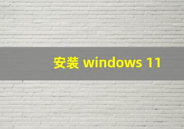 安装 windows 11