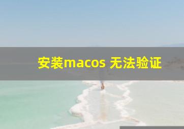 安装macos 无法验证