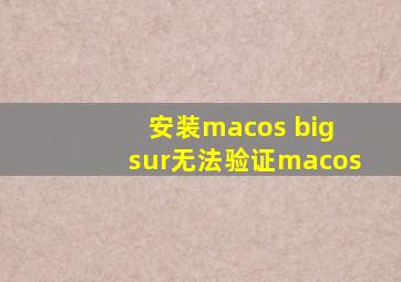 安装macos big sur无法验证macos