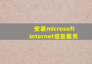 安装microsoft internet信息服务