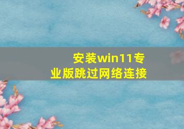 安装win11专业版跳过网络连接