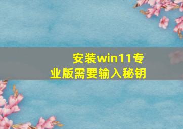 安装win11专业版需要输入秘钥