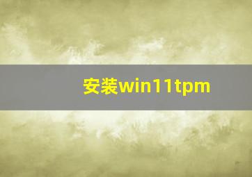 安装win11tpm