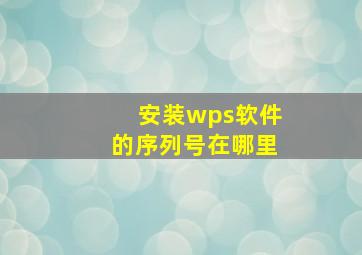 安装wps软件的序列号在哪里