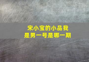 宋小宝的小品我是男一号是哪一期