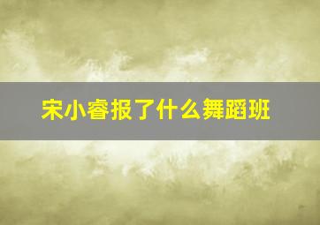 宋小睿报了什么舞蹈班