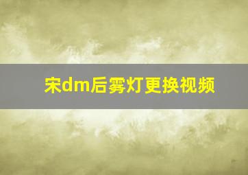 宋dm后雾灯更换视频