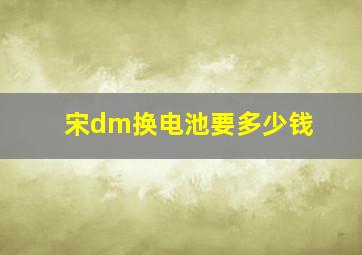 宋dm换电池要多少钱