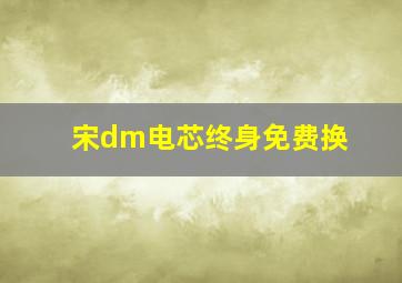 宋dm电芯终身免费换