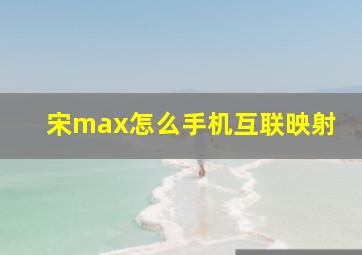 宋max怎么手机互联映射