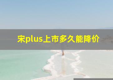 宋plus上市多久能降价