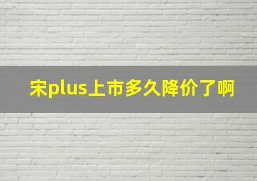 宋plus上市多久降价了啊