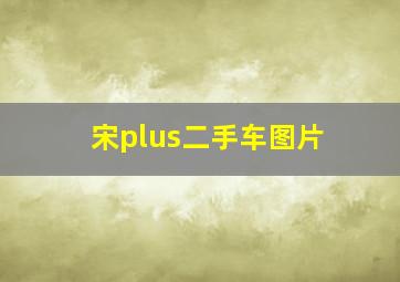 宋plus二手车图片