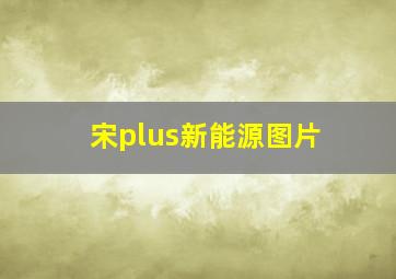 宋plus新能源图片