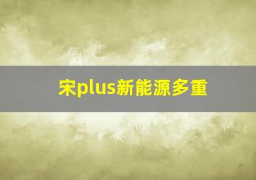 宋plus新能源多重