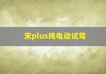 宋plus纯电动试驾