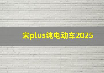 宋plus纯电动车2025