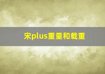 宋plus重量和载重