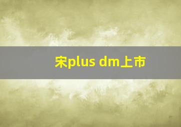 宋plus dm上市