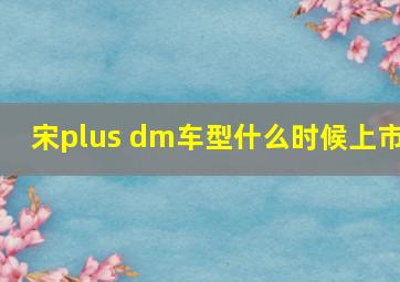 宋plus dm车型什么时候上市