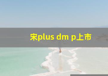 宋plus dm p上市