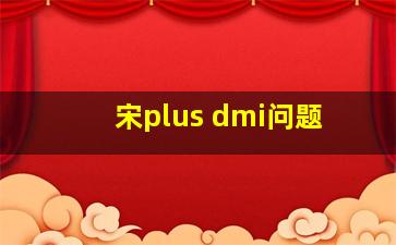 宋plus dmi问题