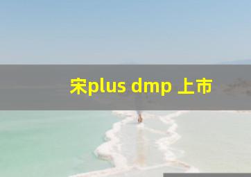 宋plus dmp 上市