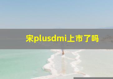 宋plusdmi上市了吗