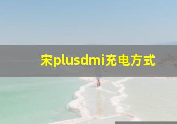 宋plusdmi充电方式