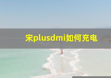 宋plusdmi如何充电