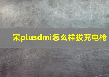 宋plusdmi怎么样拔充电枪