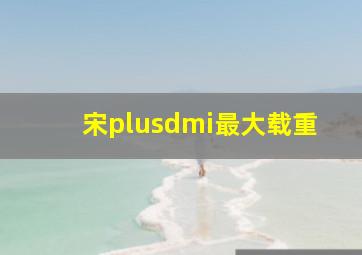 宋plusdmi最大载重