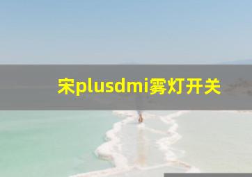 宋plusdmi雾灯开关