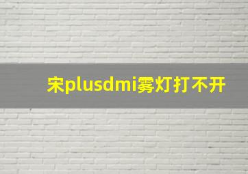 宋plusdmi雾灯打不开