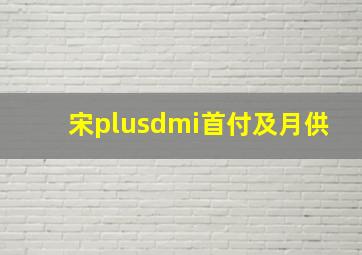 宋plusdmi首付及月供