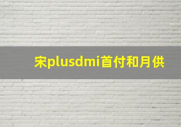 宋plusdmi首付和月供