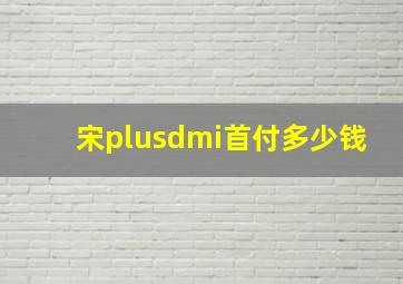 宋plusdmi首付多少钱