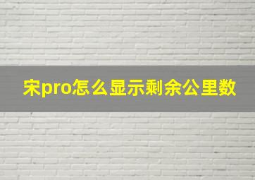 宋pro怎么显示剩余公里数