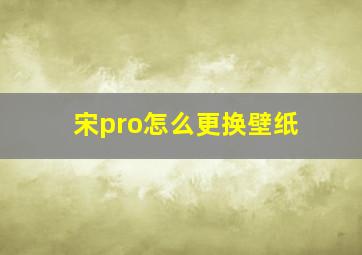 宋pro怎么更换壁纸