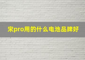 宋pro用的什么电池品牌好