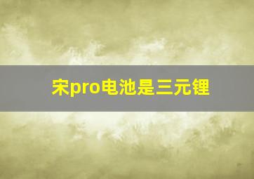 宋pro电池是三元锂