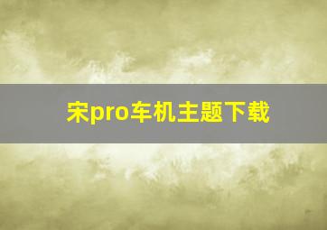 宋pro车机主题下载