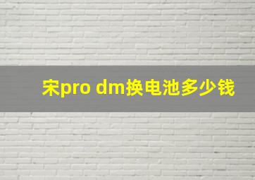 宋pro dm换电池多少钱