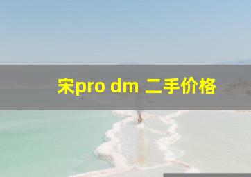 宋pro dm 二手价格