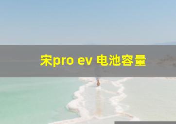 宋pro ev 电池容量