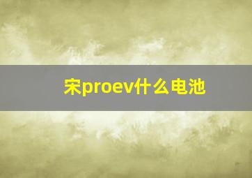 宋proev什么电池